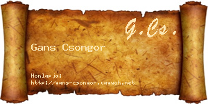 Gans Csongor névjegykártya